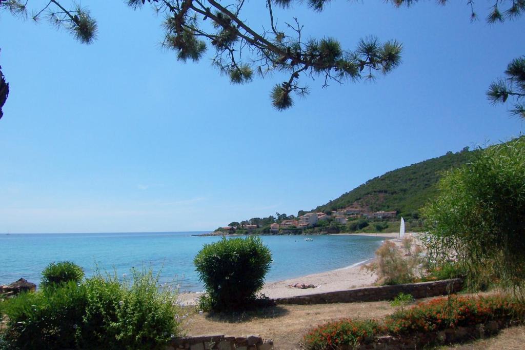 Tarcu House | A MARINA T2A