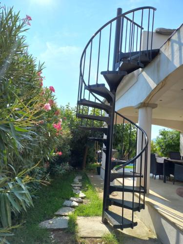 Sarrola-Carcopino Apartment | afa butrone sarrola