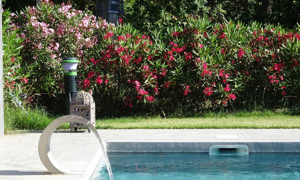 Saint-Gilles House | Ancienne Commanderie, 15+3 pers, private heated pool and garden, quiet location