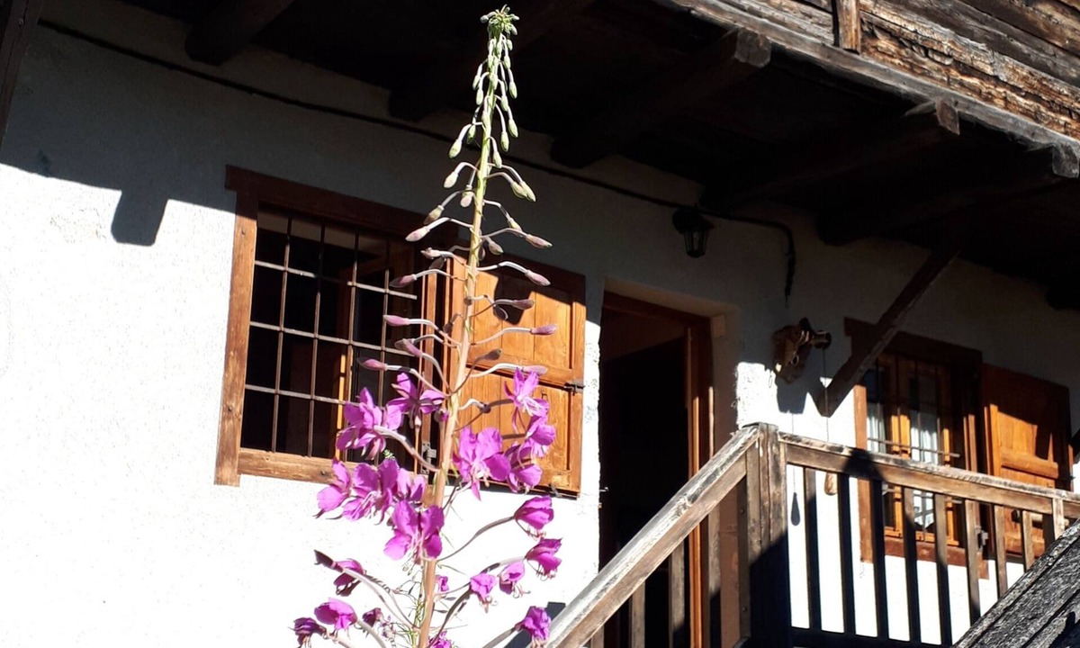 Nevache Ski Chalet | Antique cottage dating from 1870