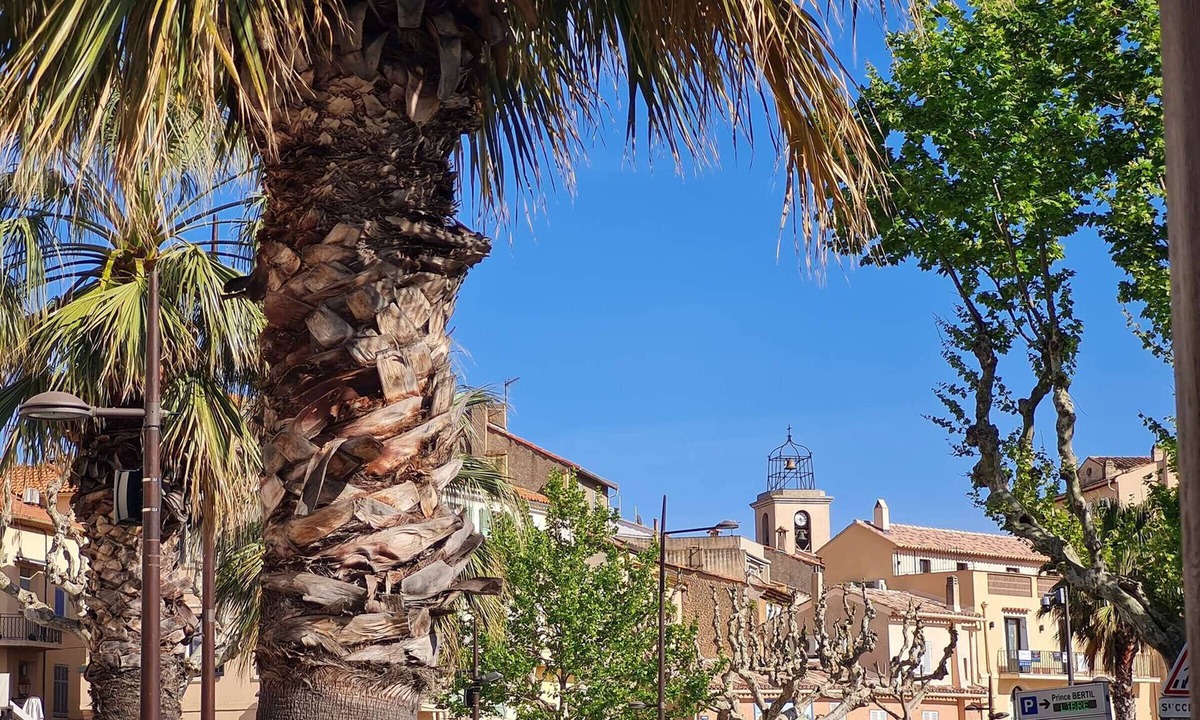 Plage de la Garonnette Apartment | Apartment Sainte-Maxime, 1 bedroom, 4 persons
