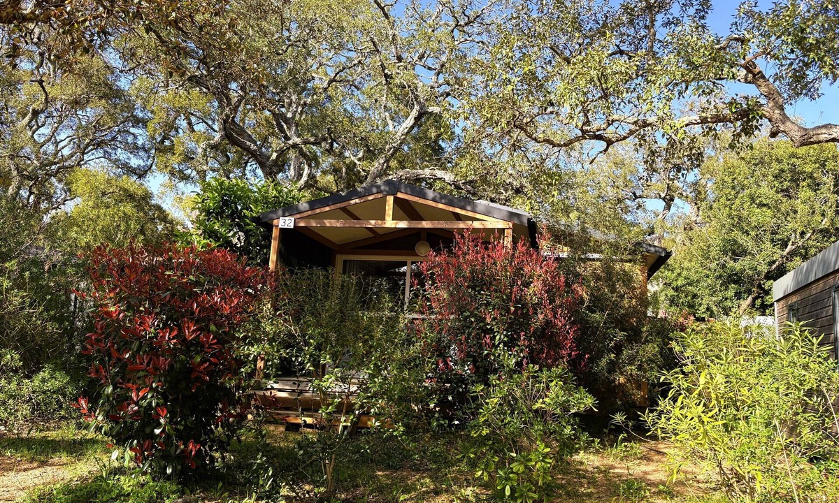 Porto-Vecchio Ski Chalet | Bavella-Chalet-Comfort-Ensuite with Bath-Terrace