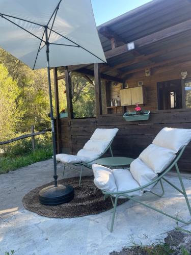 Olivese House | Cabane