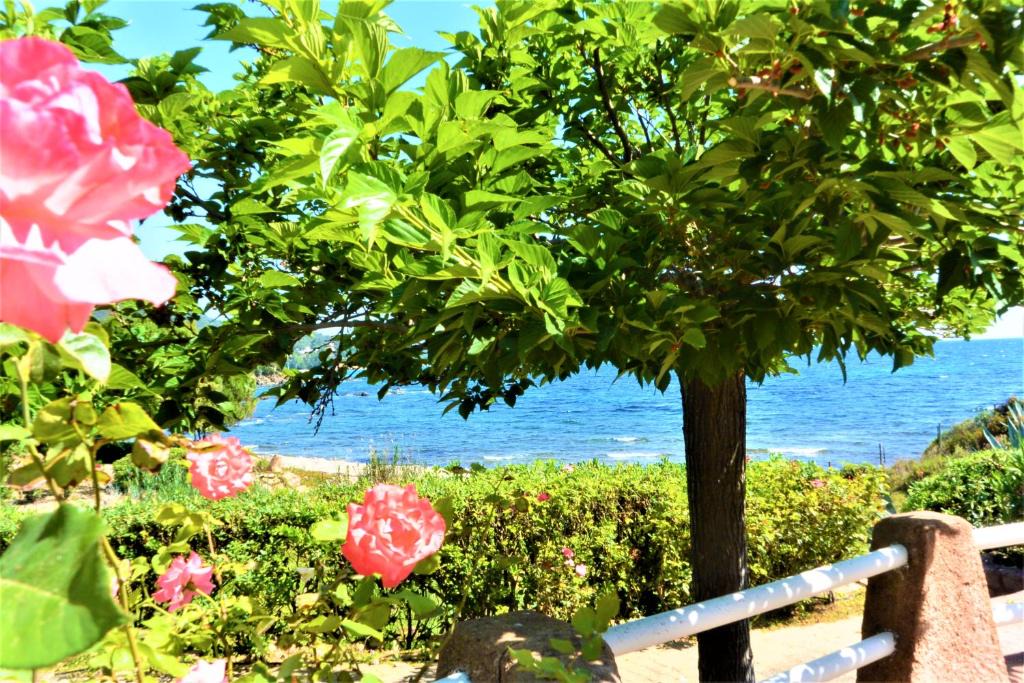 Favone Apartment | CANELLA 2