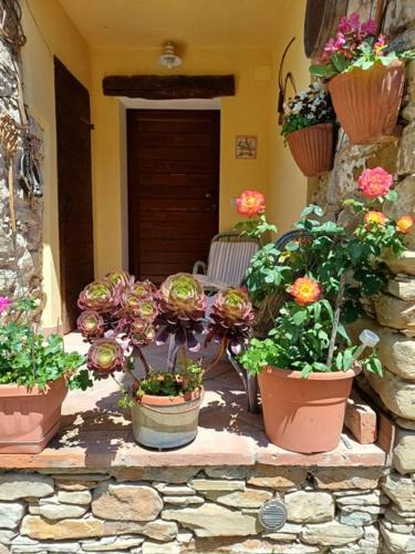 Ovada Bed & Breakfast | Casa Galla