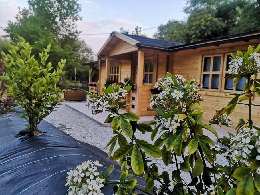 Cast Ski Chalet | chalet 5/6 pers à 15 minutes des plages et baie de Douarnenez