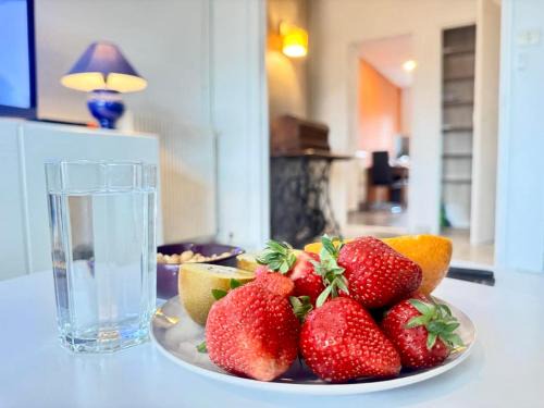 Albi Apartment | Charming apartment in Albi Free parking
