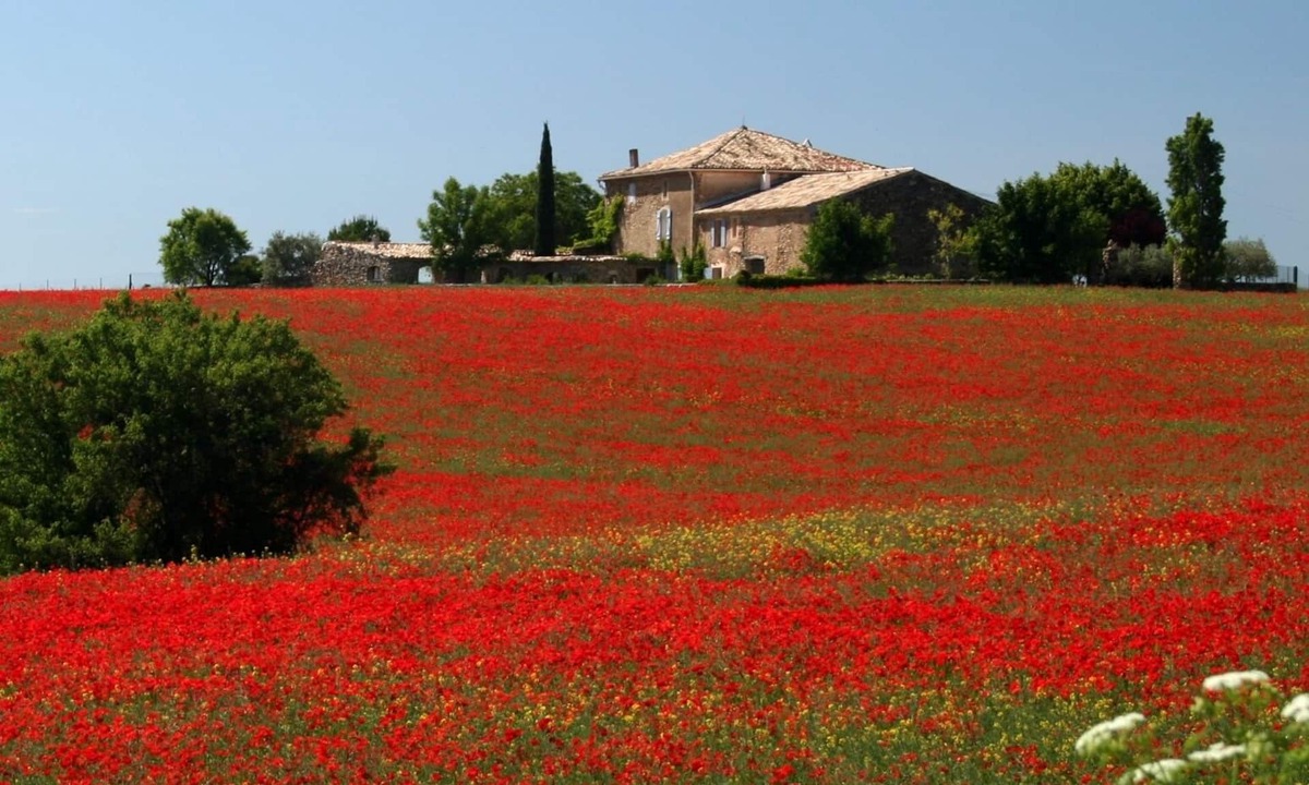 Valensole House | Charming cottage with swimming pool