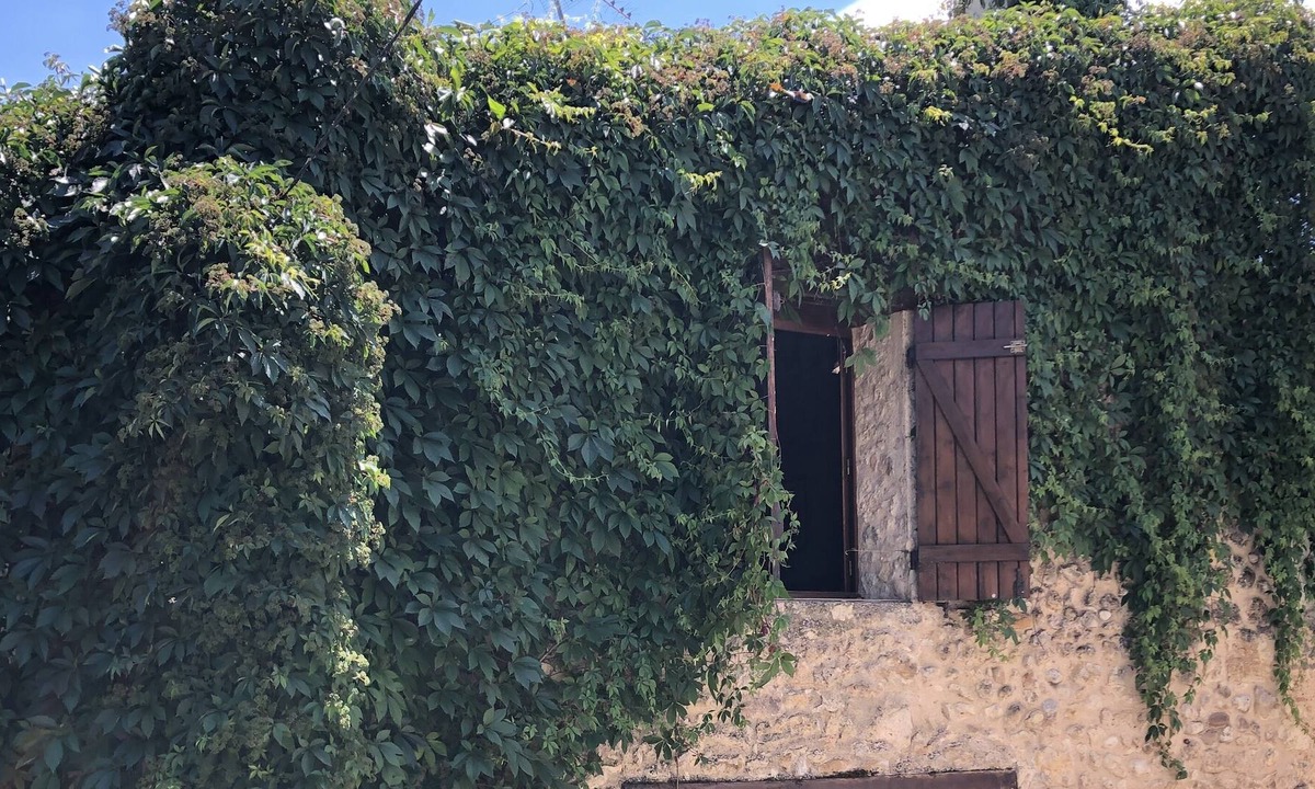Saint-Martin-de-Bromes House | Charming house in the Verdon