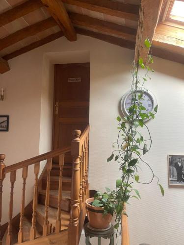 Bazus House | Chez Papi