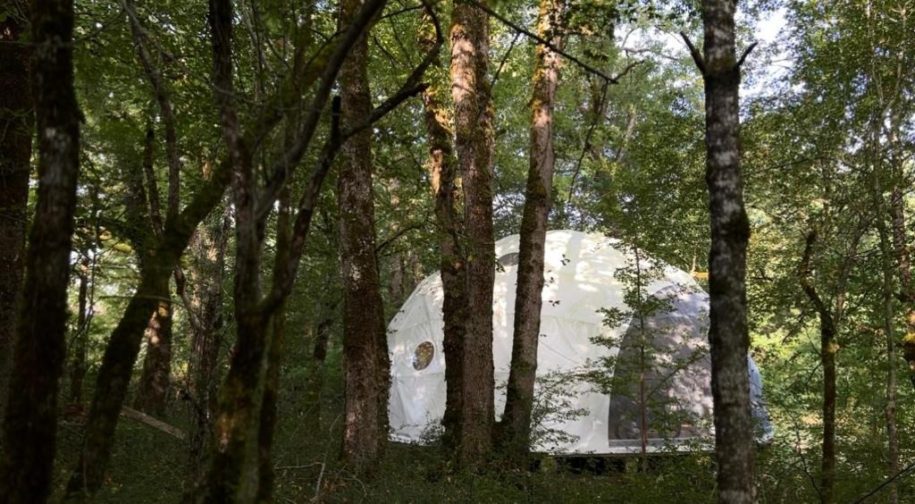 Saint-Just Other | Dôme en forêt