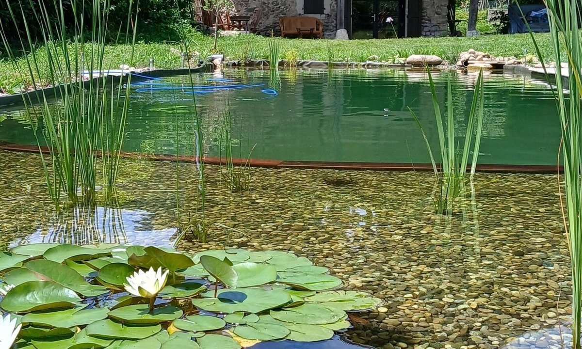 L'Albenc House | Detached cottage with natural swimming pool
