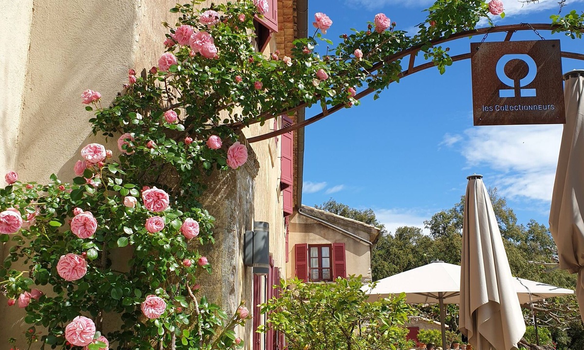 Flassans-sur-Issole Hotel | Domaine du Lac