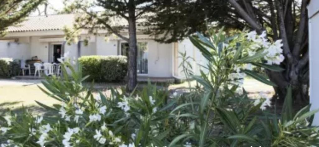 Saint-Georges-d'Oleron House | Duplex 3 piscines (1 chauffée/couverte) 300m plage