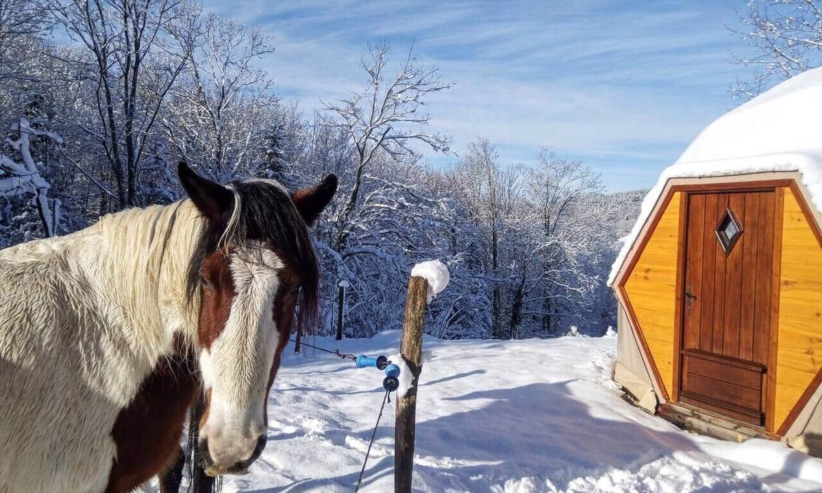 Saint-Julien-Labrousse RV Rental | "Forest" Dome Alpacas and Starry Nights