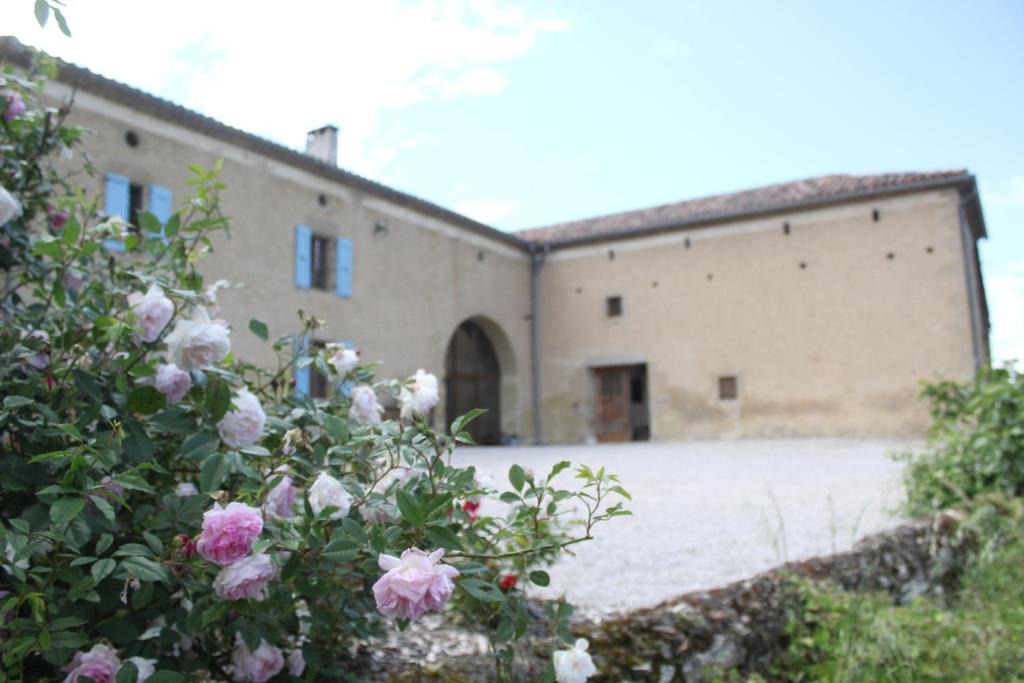 Lautrec House | Gîte - La Couderquié