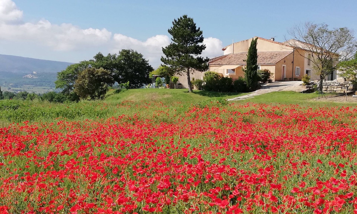 Roussillon Cottage | Gite à la Campagne