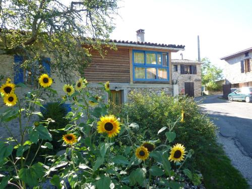 Roquefixade House | Gite Sent Martin