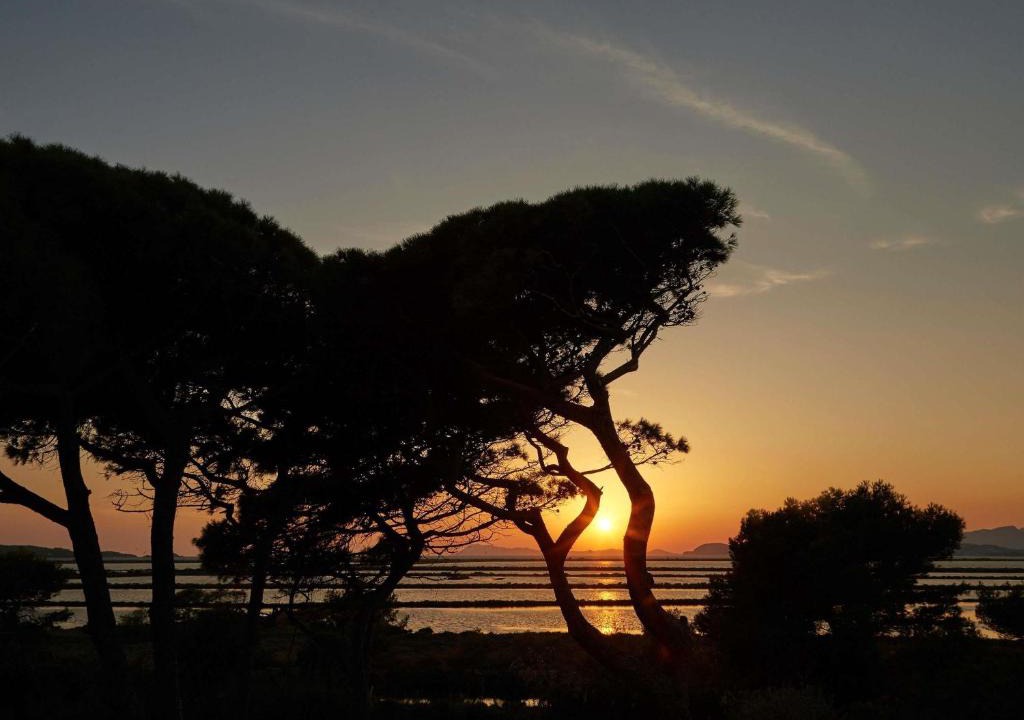 Hyeres City Centre Hotel | Ibis Budget Hyères