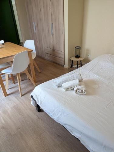 Toulouse East Apartment | joli studio exceptionnel Matabiau