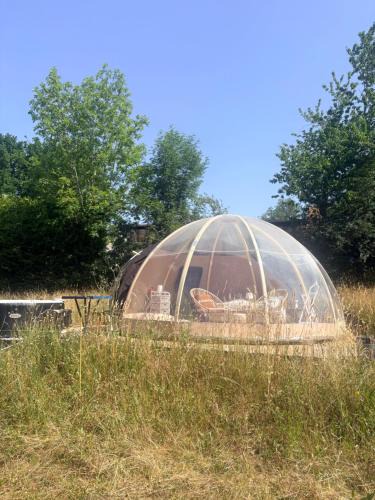 Montfermy Other | La bulle de Clemence