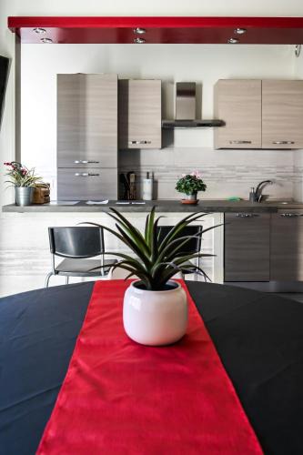 Cuneo Nuova Apartment | La casa del Koala