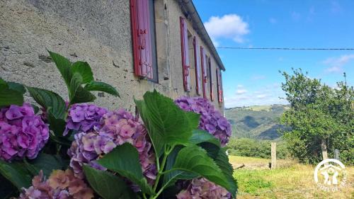 Assac House | La lauzière