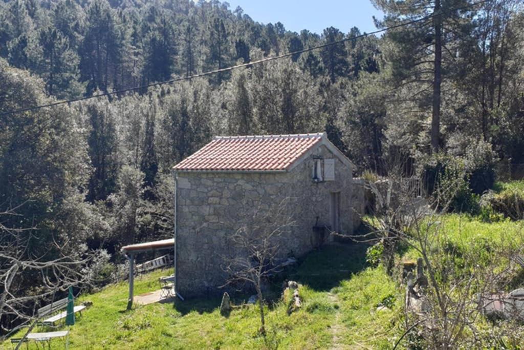 Rezza House | La petite maison dans le maquis