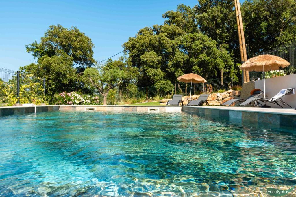 Preconil Apartment | Le Clos des Eucalyptus
