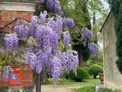 Graveson Bed & Breakfast | Le Mas Ferrand