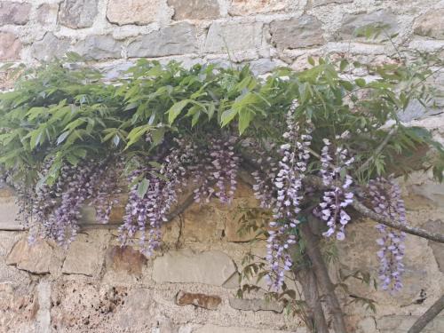 Salles-la-Source Apartment | Les Glycines