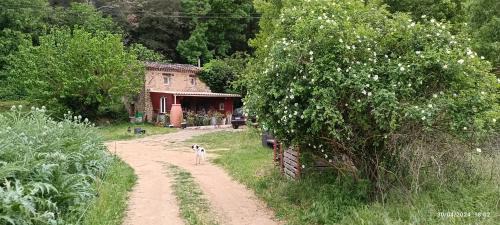 Le Thoronet House | Les Jardins de Castelange