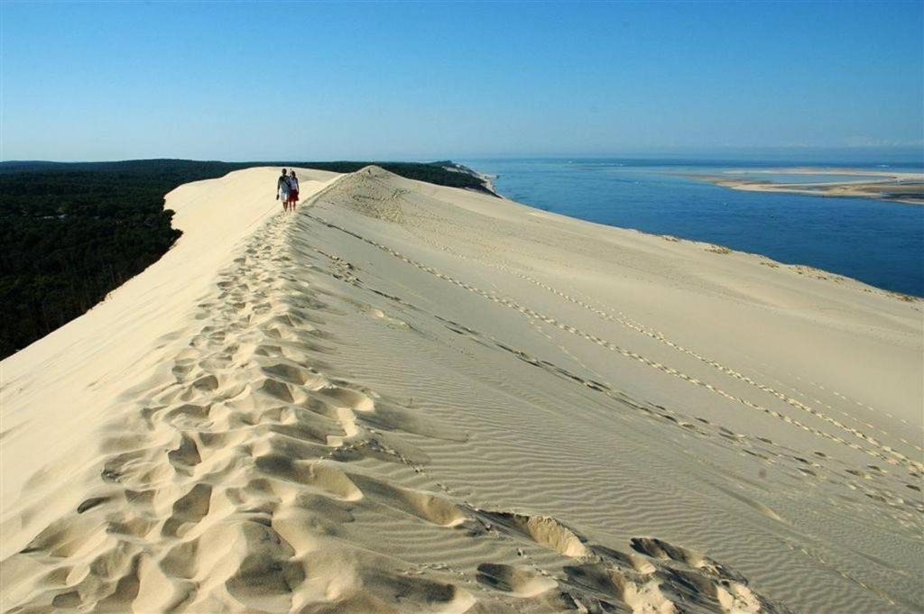 Arcachon Apartment | Les pieds dans l'eau