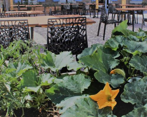 Salin-de-Giraud Hotel | Les saladelles