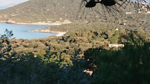 Marine de Davia Villa | LOCANOMA