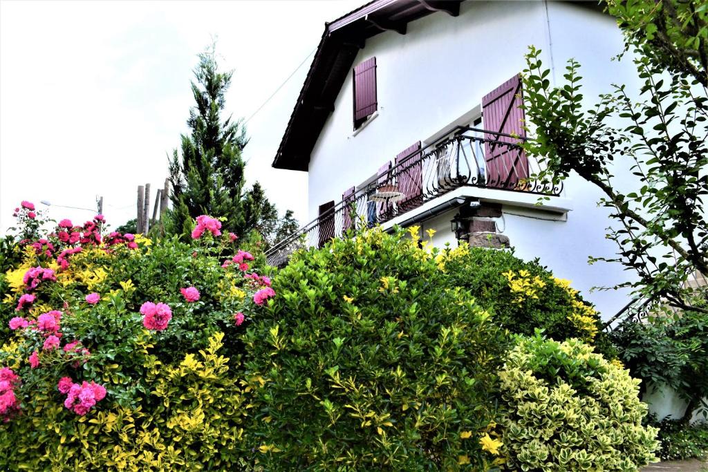 Ispoure Apartment | Loretxea