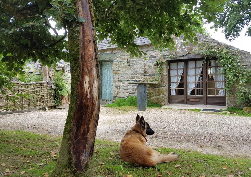 Commana House | Maisonnette atypique au pied des monts d'Arree
