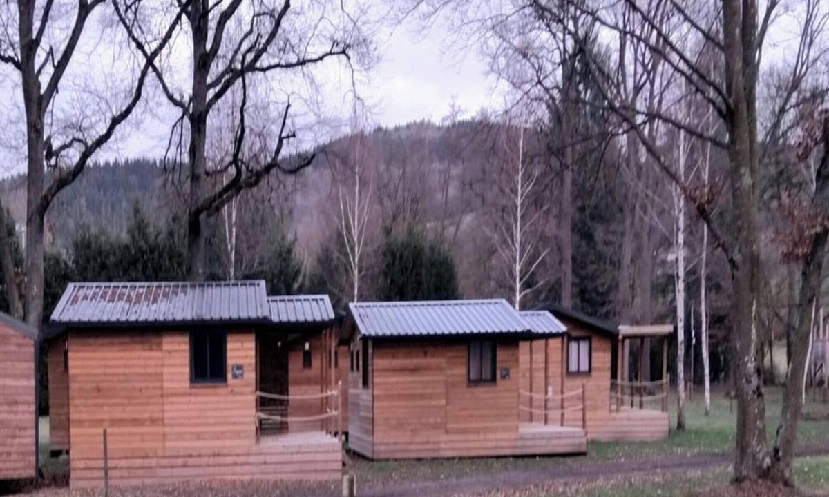 Sauxillanges House | Mobile home, pets allowed - 4 guests