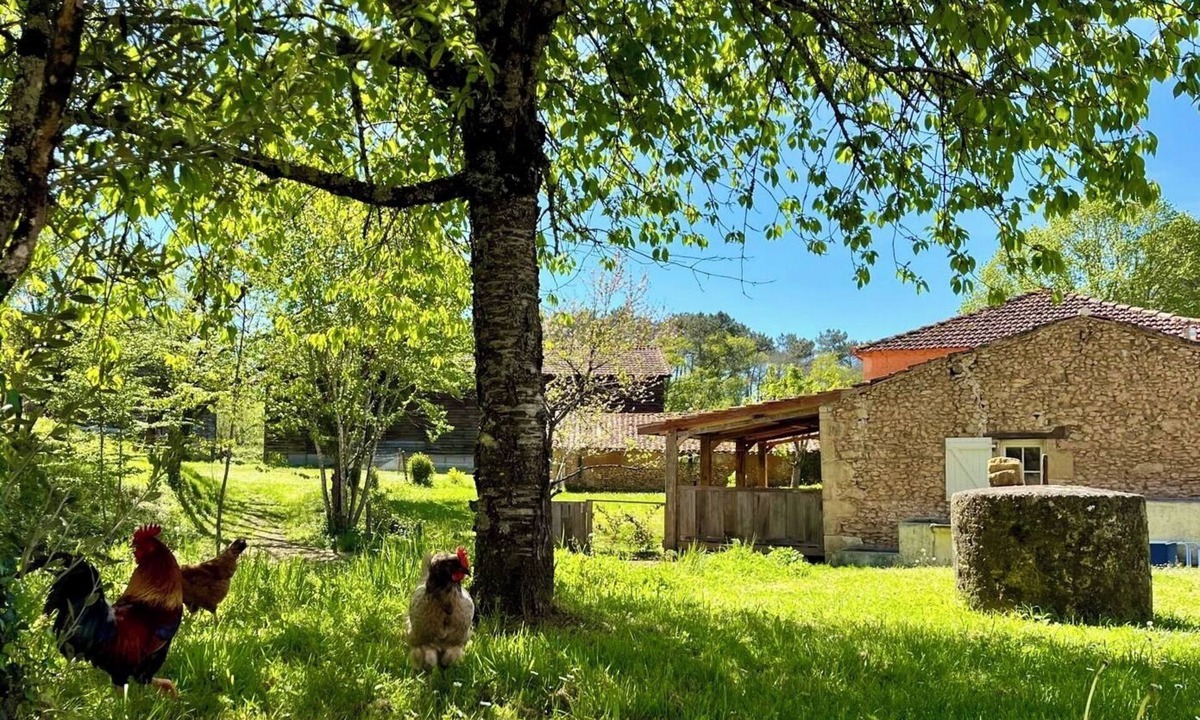 Capdrot Cottage | Petit Maison a la Ferme; Terrasse Couvert, Jacuzzi, Cuisine Exterieur