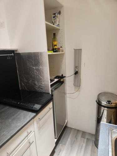 Saint-Brieuc Apartment | Sana
