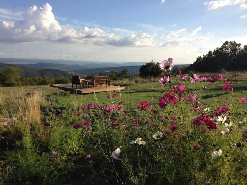 Cruis House | Site exceptionnel Haute-Provence