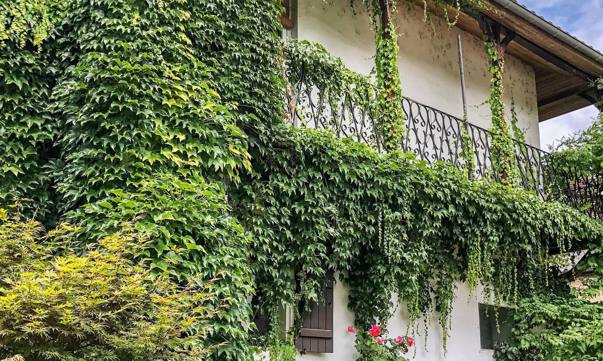 Sault-De-Navailles House | Spacious, charming vacation home with pool in a rural atmosphere.