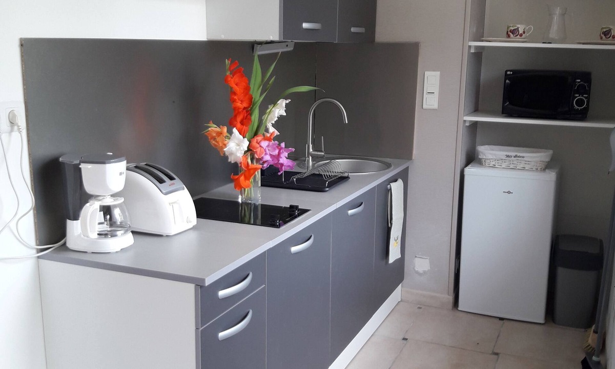 Saint-Hilaire-la-Palud Apartment | Studio 2 P in marshland, ideal for relaxation with swimming pool, rowing boat, bicycles in park.
