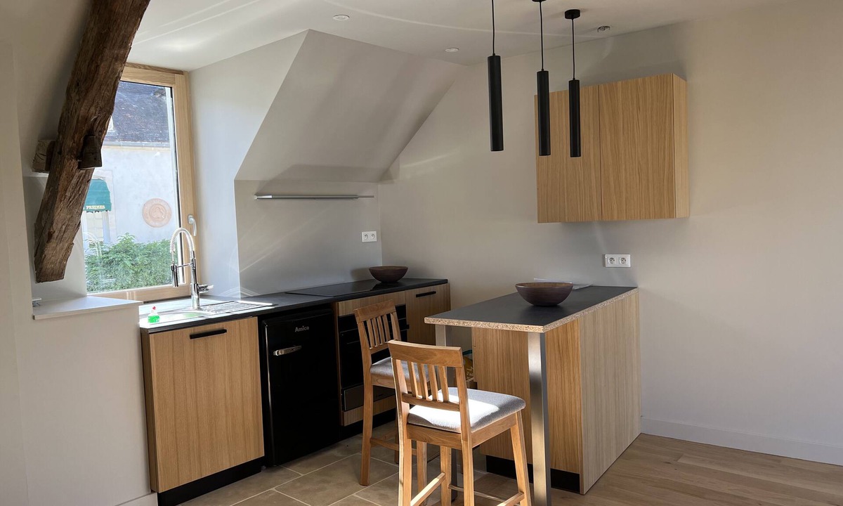 Prehy Apartment | Studio 2-Studio-Suite-Ensuite with Bath-Vineyard view