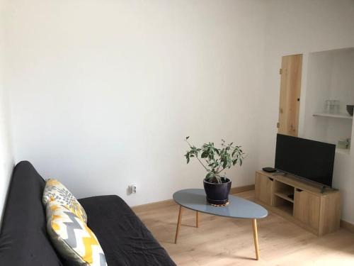 Benejacq Apartment | Studio 32m2 avec terrasse privative de 20 m carré