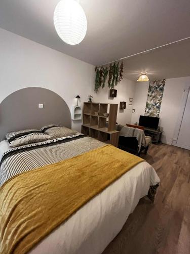 Castelsarrasin Apartment | Studio cosy dans le cœur de Castelsarrasin