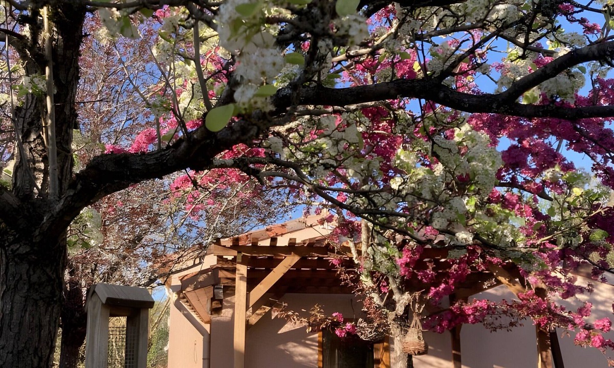 Cayriech Bed & Breakfast | Studio "Little Nest for Travelers" with Private Terrace, Wi-Fi, and Air Conditioning