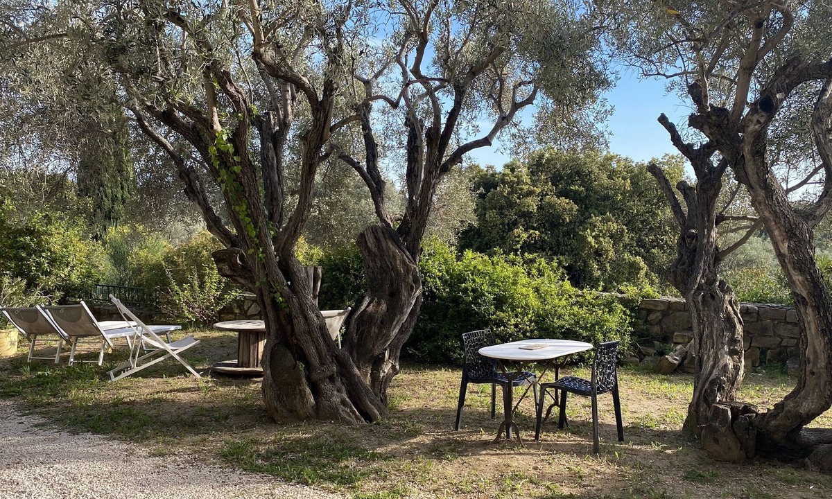 Sanary-sur-Mer Apartment | Studio with private garden in Sanary