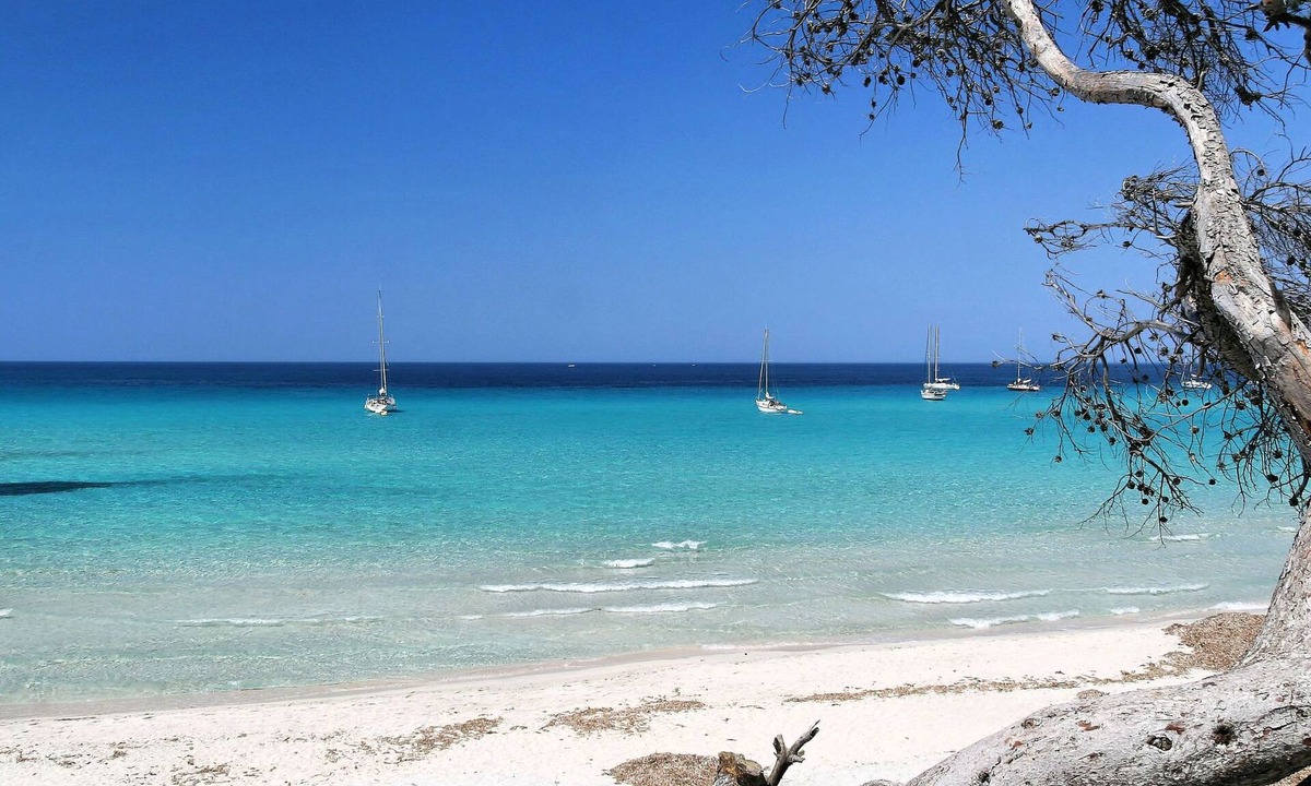Saint-Florent Apartment | Suarella by Interhome
