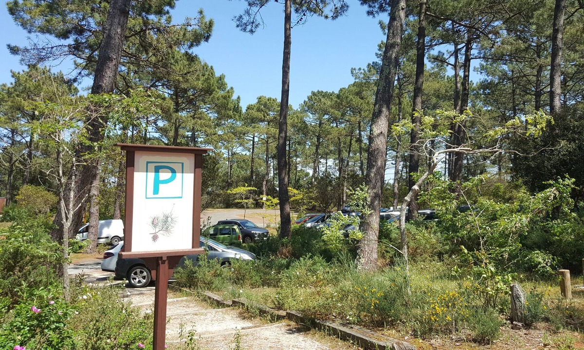 Maubuisson Apartment | T2 sleeps 5 between ocean and lake in Carcans Maubuisson